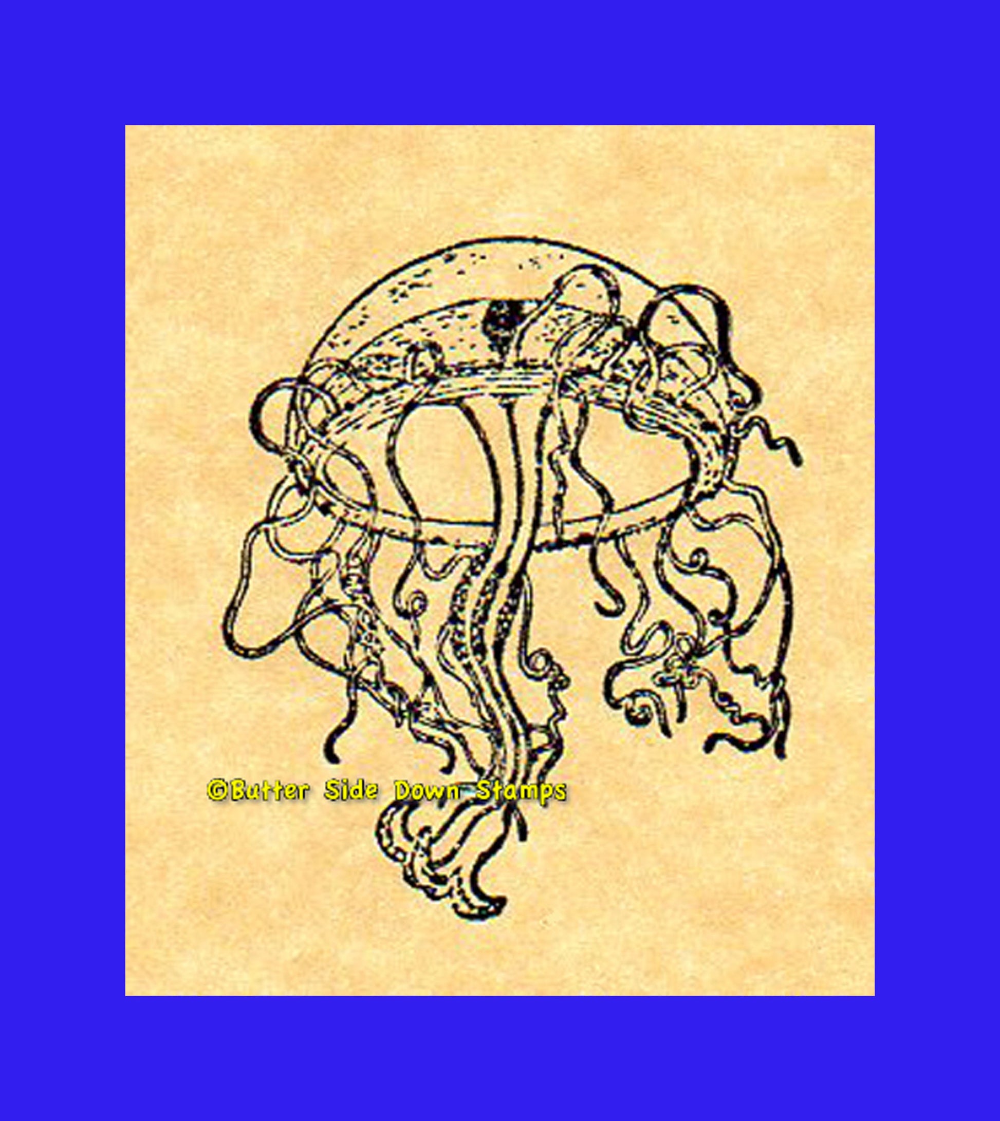 Medusa Octorchandra Jellyfish