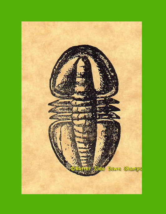Fossil Lichas Trilobite Rubber Stamp.