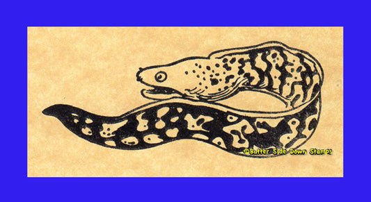 Moray Eel Rubber Stamp