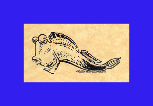 Mudskipper (L) Rubber Stamp