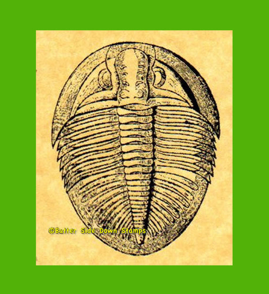 Ogygiocarella Trilobite Rubber Stamp