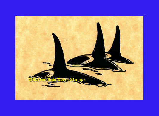 Killer Whale Pod Rubber Stamp