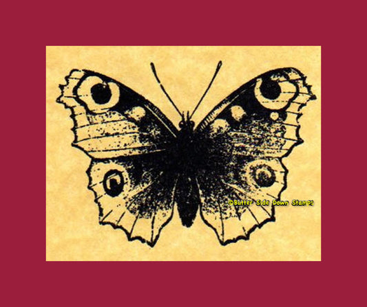 Peacock Butterfly Rubber Stamp