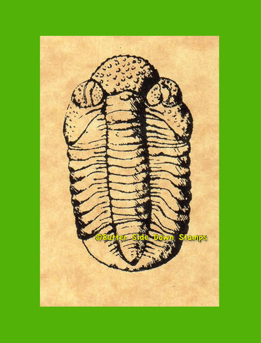 Phacops rana Fossil Trilobite Rubber Stamp