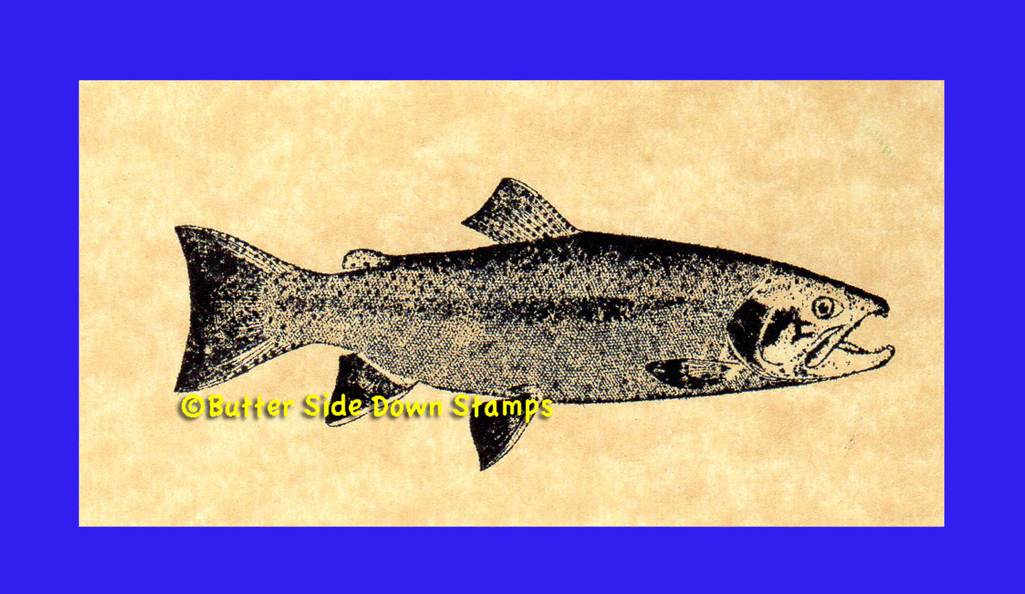 Rainbow Trout Rubber Stamp