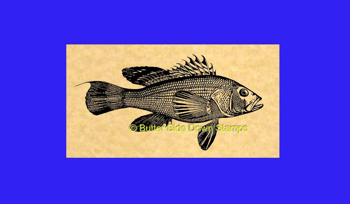 Black Sea Bass Stamp