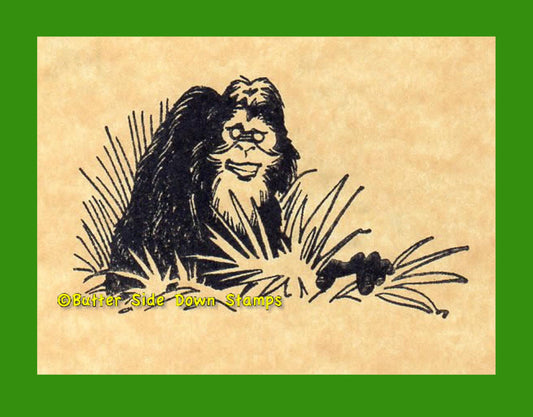 The Southern Skunk Ape