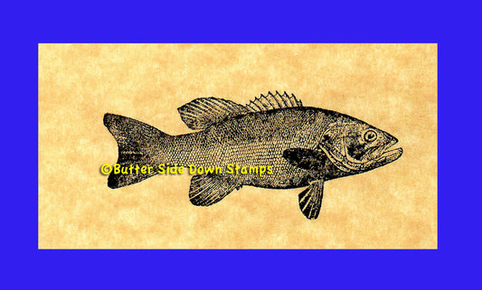 Smallmouth Bass Game Fish Rubber Stamp