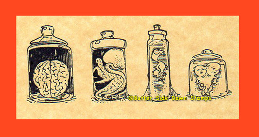 Specimen Jars Rubber Stamp
