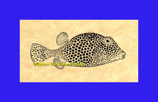 Spotted Trunkfish Caribbean Reef Rubber Stamp