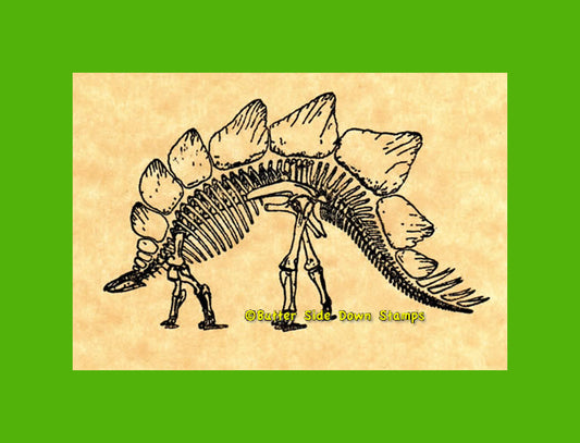 Stegosaurus Skeleton Dinosaur Rubber Stamp