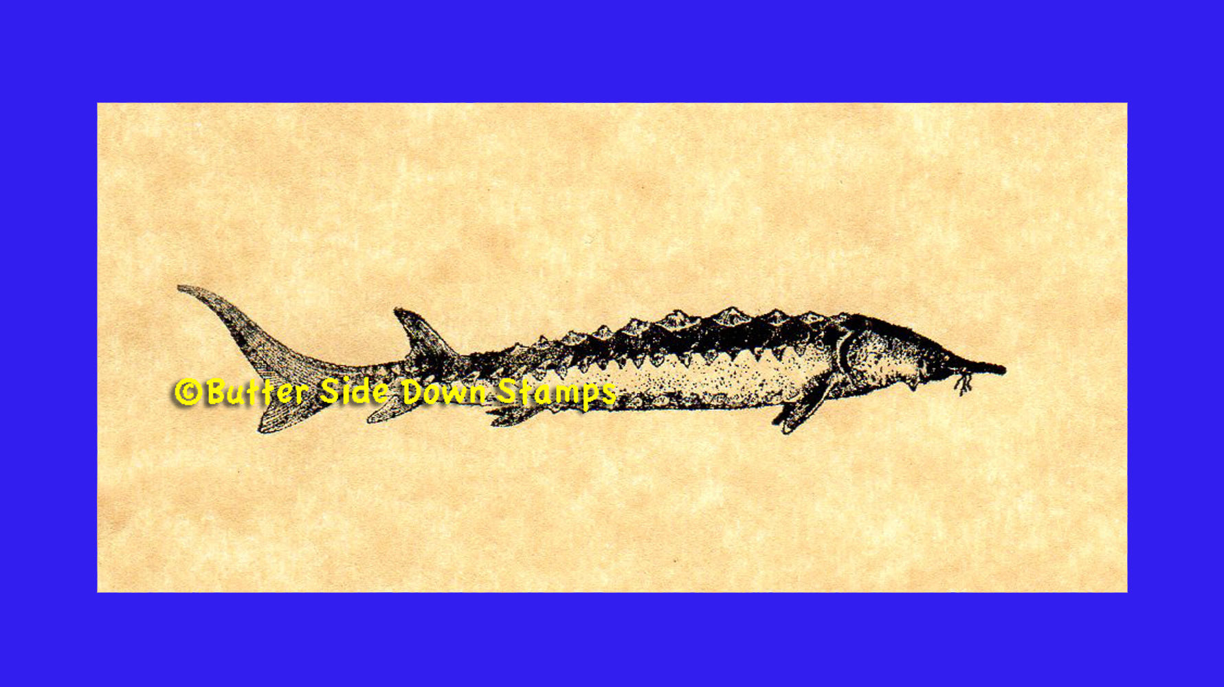 Sturgeon Fish Rubber Stamp