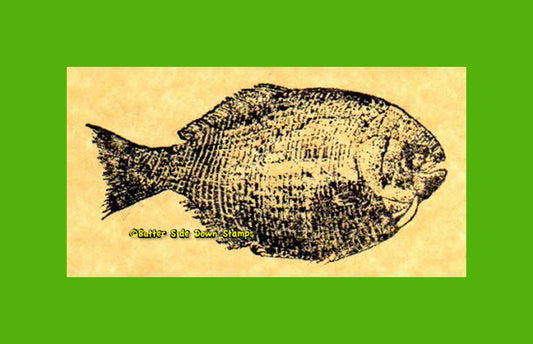 Triassic Fossil Fish Rubber Stamp