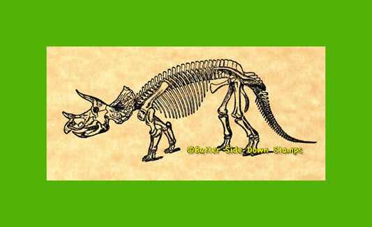 Triceratops Skeleton Ceratopsid Dinosaur Rubber Stamp