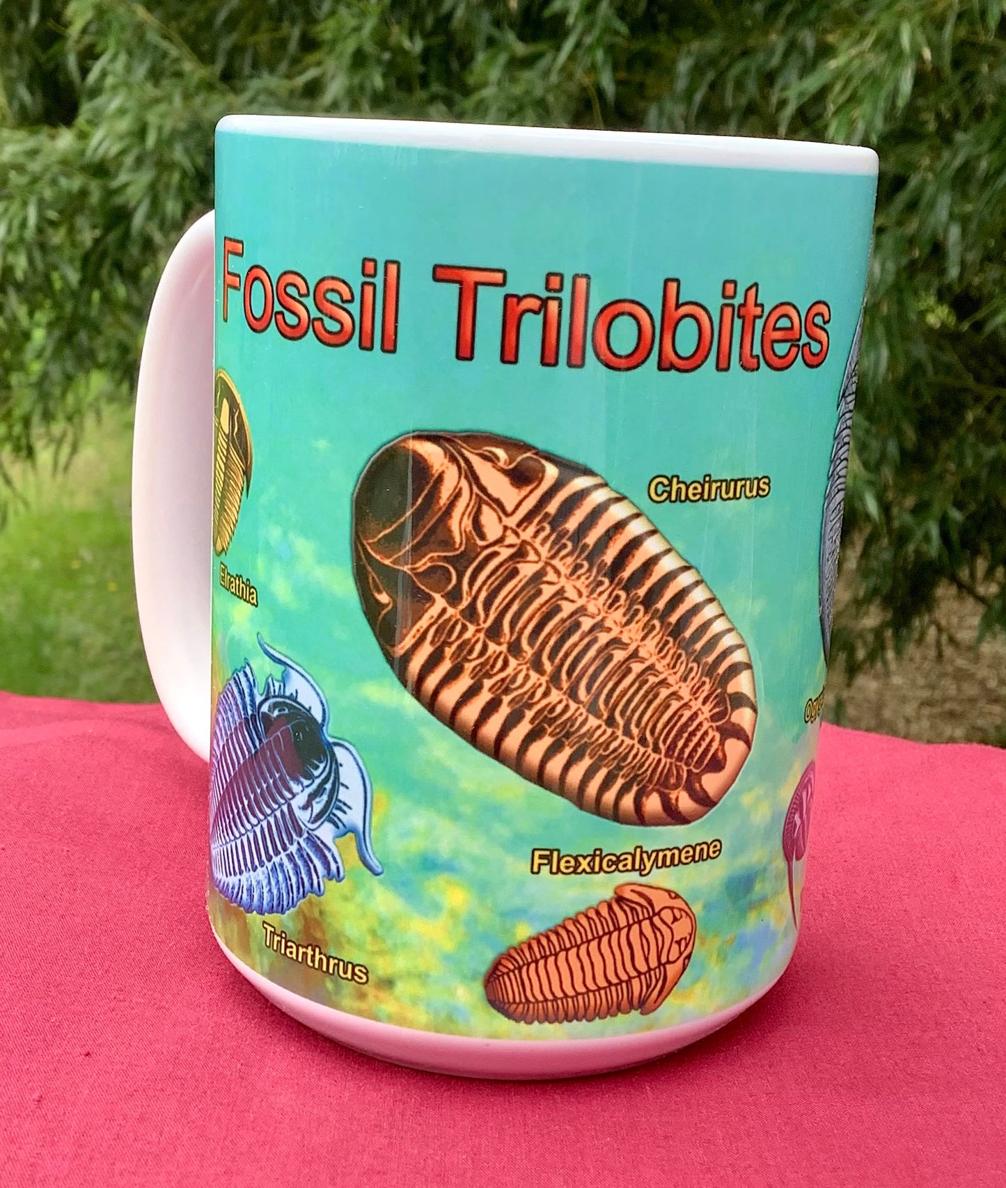 trilobite mug