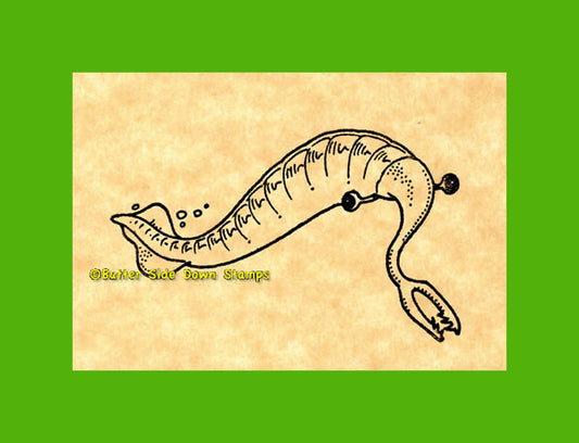 Tully Monster Fossil Rubber Stamp Illinois State Fossil