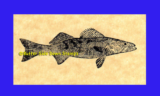 Walleye Game Fish Rubber Stamp