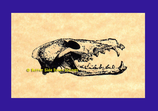 Canis lupis wolf skull rubber stamp