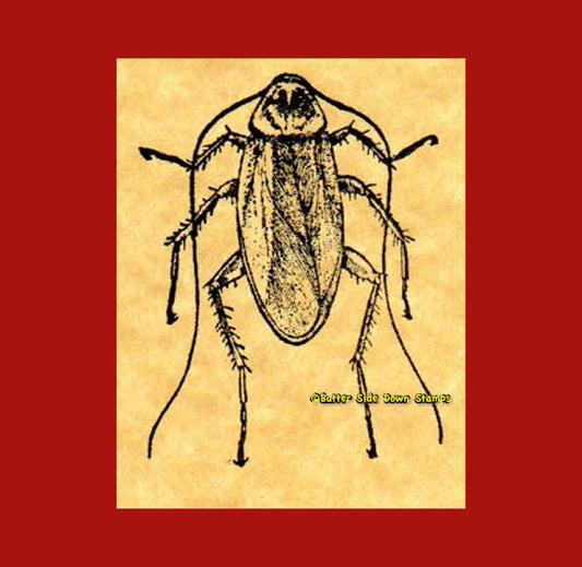 Cockroach Rubber Stamp