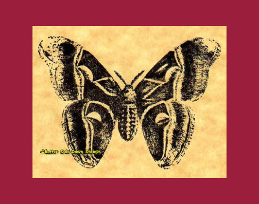 Cynthia Moth Rubber Stamp