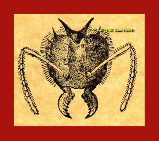 Ant Head Rubber Stamp