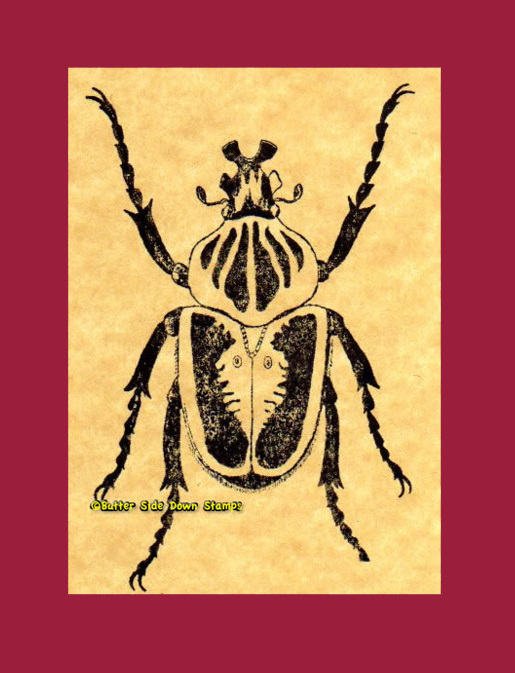 Goliath Beetle Rubber Stamp