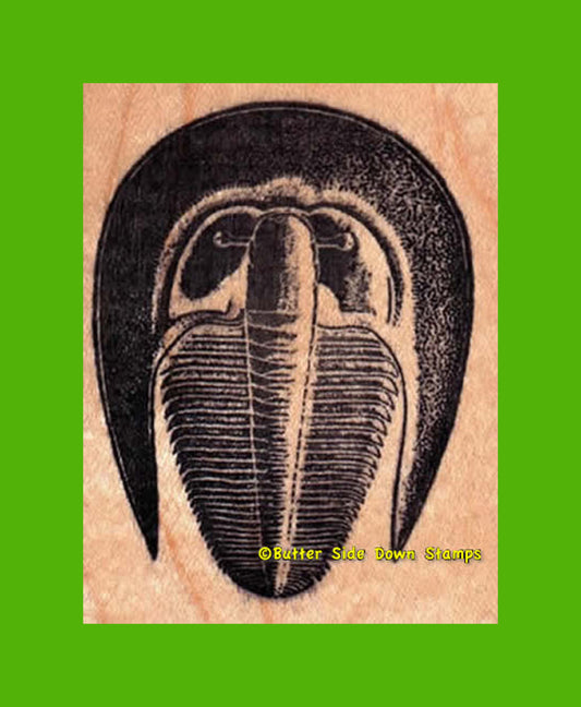 Fossil Harpes Trilobite Rubber Stamp.