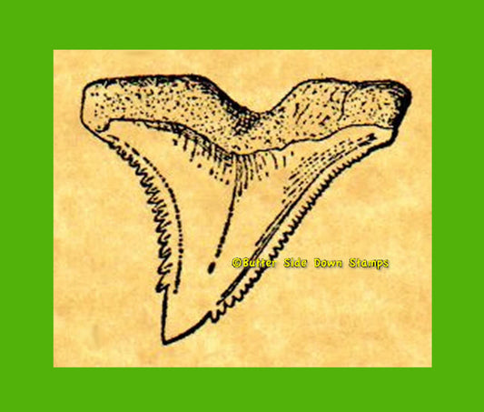 Hemipristis Shark Tooth Rubber Stamp