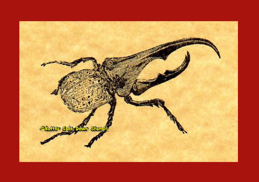 Hercules Beetle Rubber Stamp