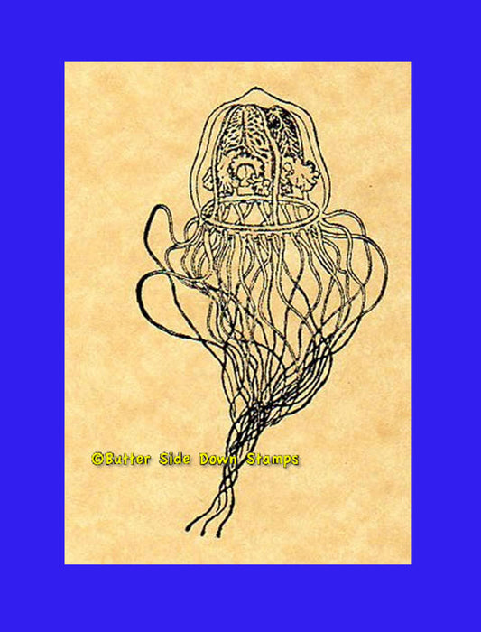 Hydromedusa Tiara Jellyfish Rubber Stamp