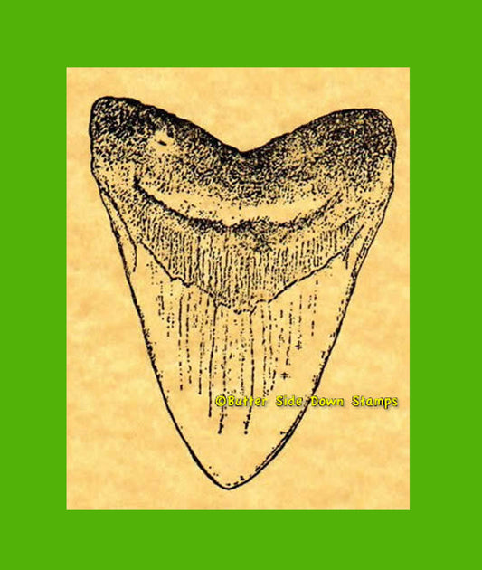 Large Carcharodon Megalodon Tooth Rubber Stamp