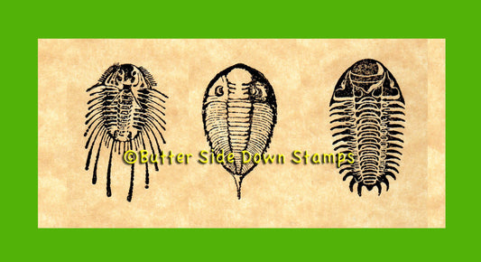 3 Mini Trilobite Rubber Stamp Set