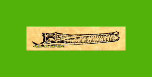 Mystriosaurus Skull Fossil Crocodile Rubber Stamp