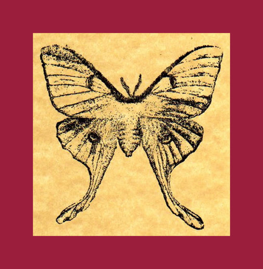 Luna Moth (discontinued ) Rubber Stamp