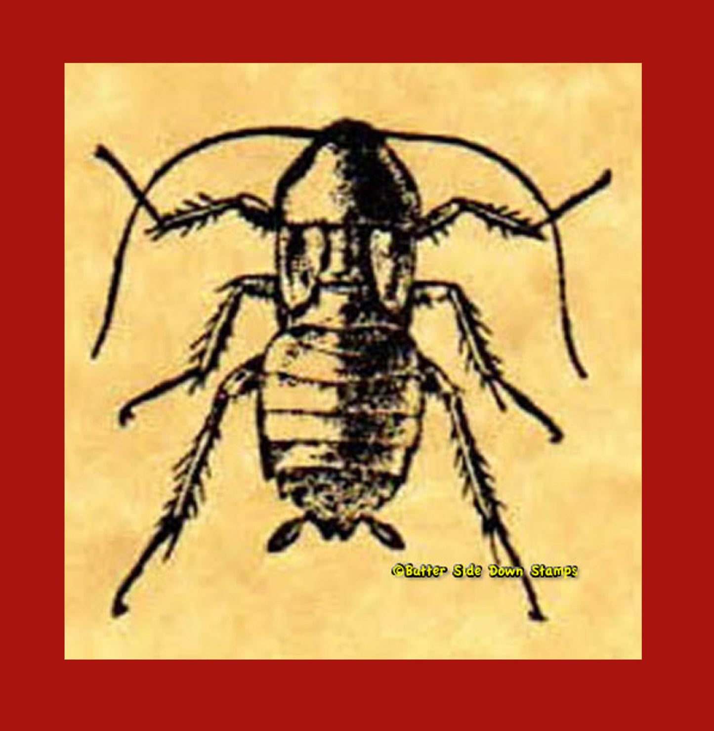 Oriental Cockroach Rubber Stamp