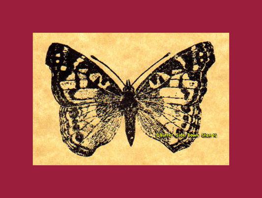 Painted Beauty Butterfly Rubber Stamp