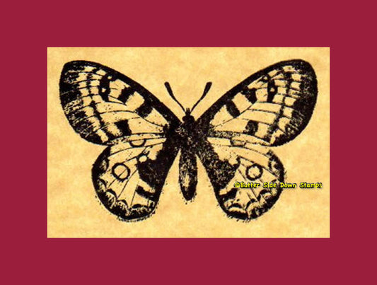 Parnassus Apollo Butterfly Rubber Stamp