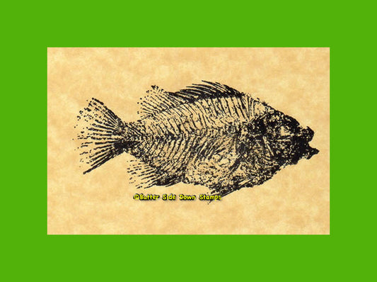 Priscacara Fish Fossil (Eocene Green River Formation) Rubber Stamp
