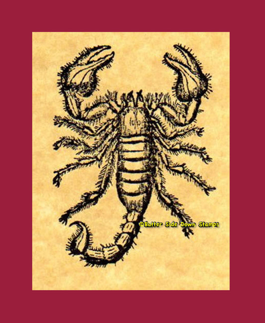 Scorpion Rubber Stamp