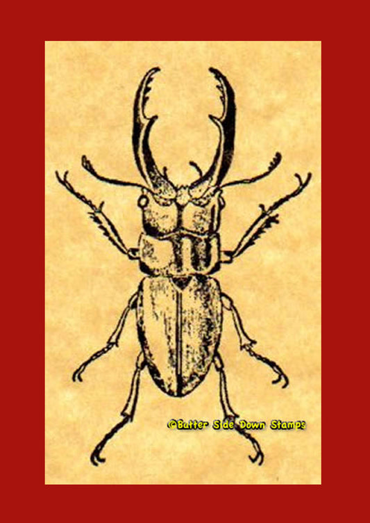 Stag Beetle Rubber Stamp
