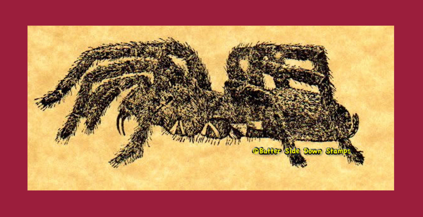 Tarantula  Rubber Stamp