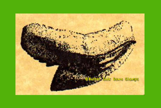 Fossil Tiger Shark Tooth Rubber Stamp