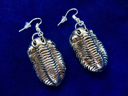 Silver Trilobite Phacops rana Earrings